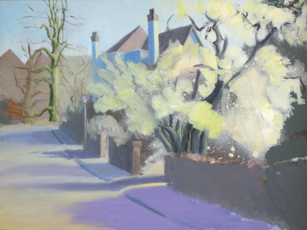 "Wageningen, straat met bloeiende heesters", 2007